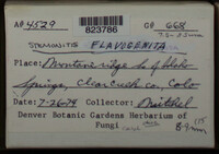 Image Associated With the Occurence